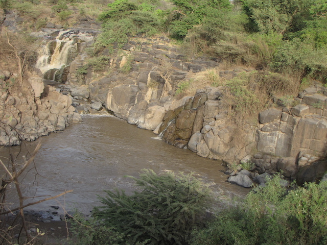 Le parc national d'Awash en Ethiopie